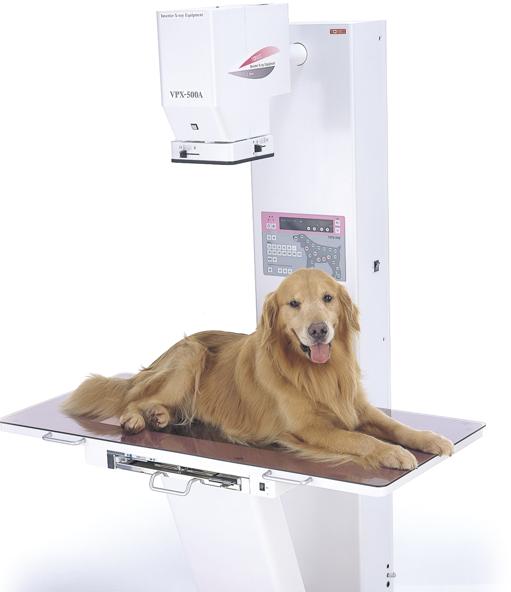 犬・猫　動物病院の設備紹介「レントゲン装置」